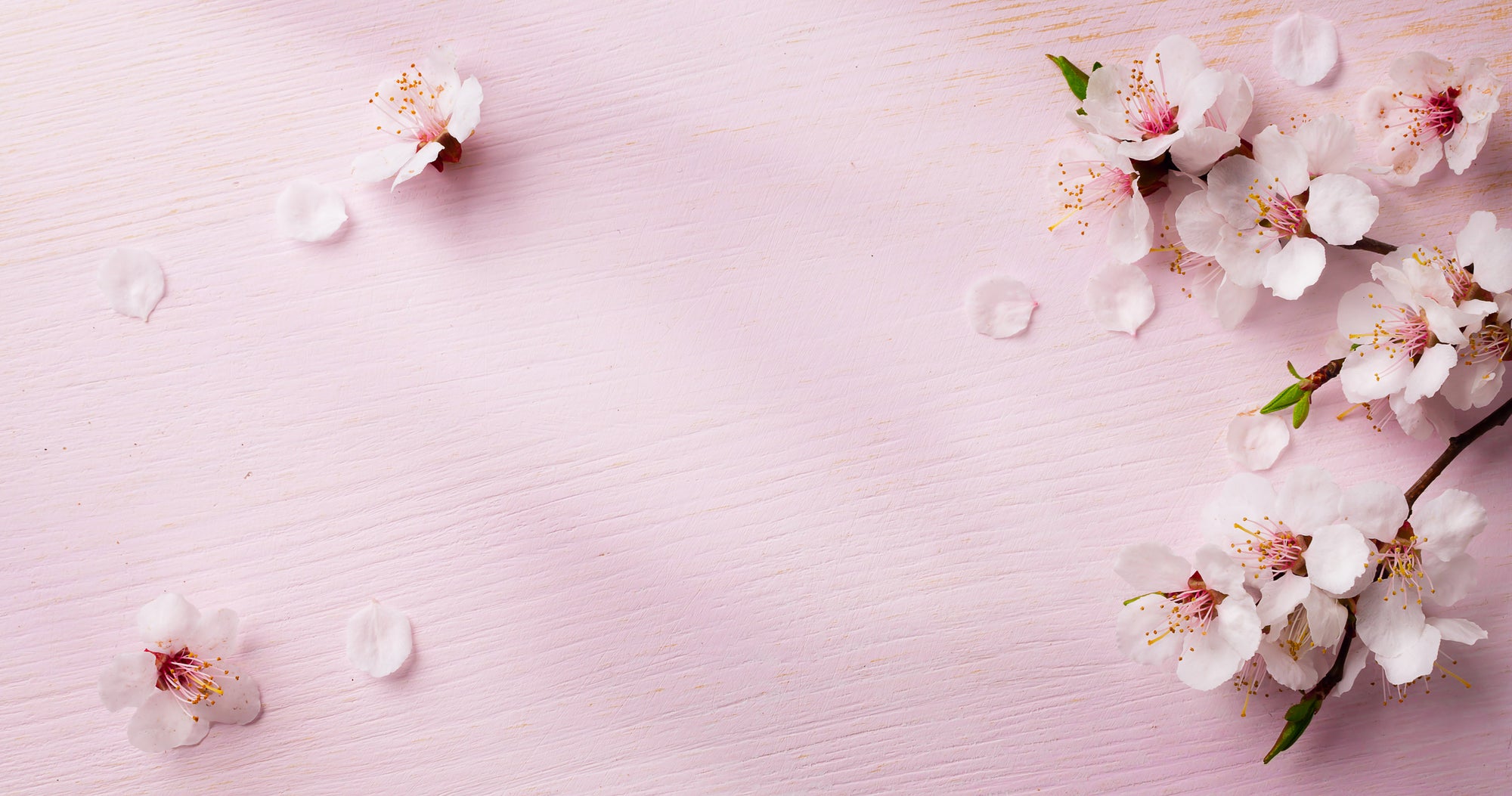 Pretty in Pastel Collection